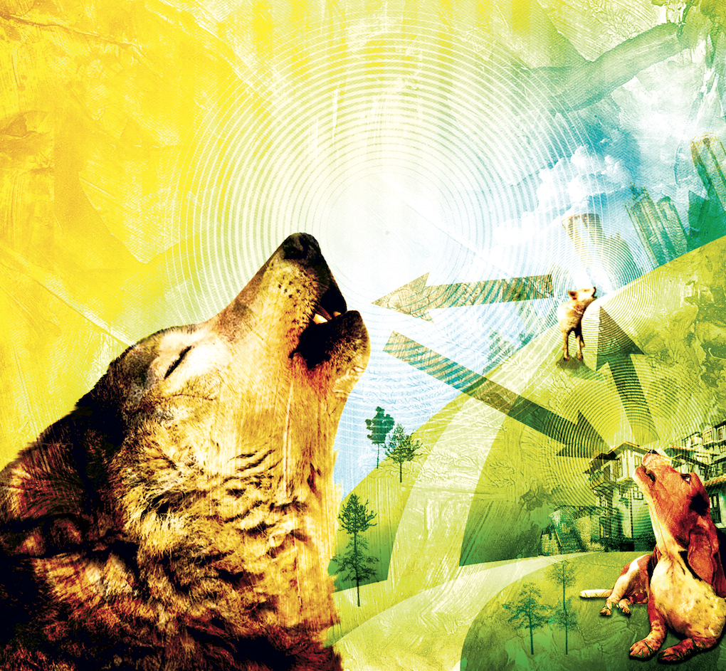 Screen Shot 2019-03-22 at 10.33.18 PM