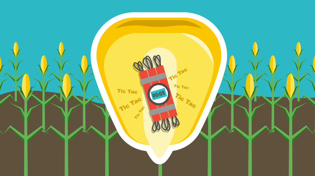 Las «Semillas Nuevas» no son la solución al hambre en Guatemala