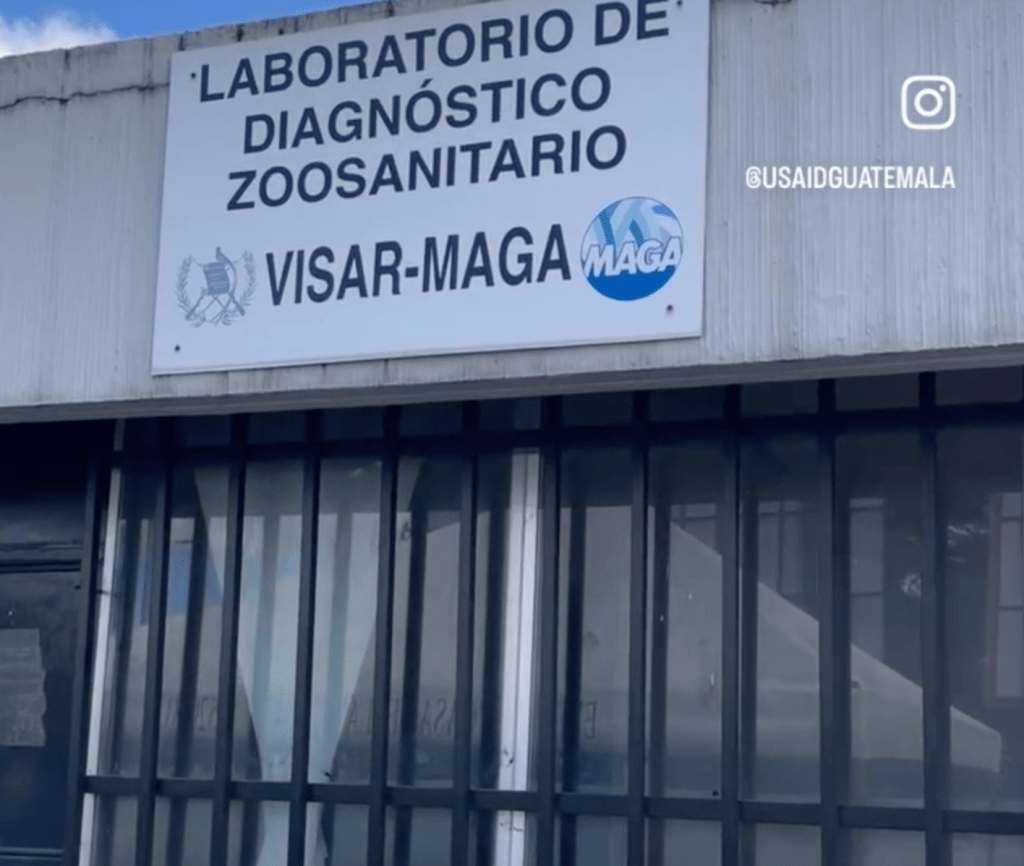 Laboratorio de diagnóstico zoosanitario Quetzaltenango