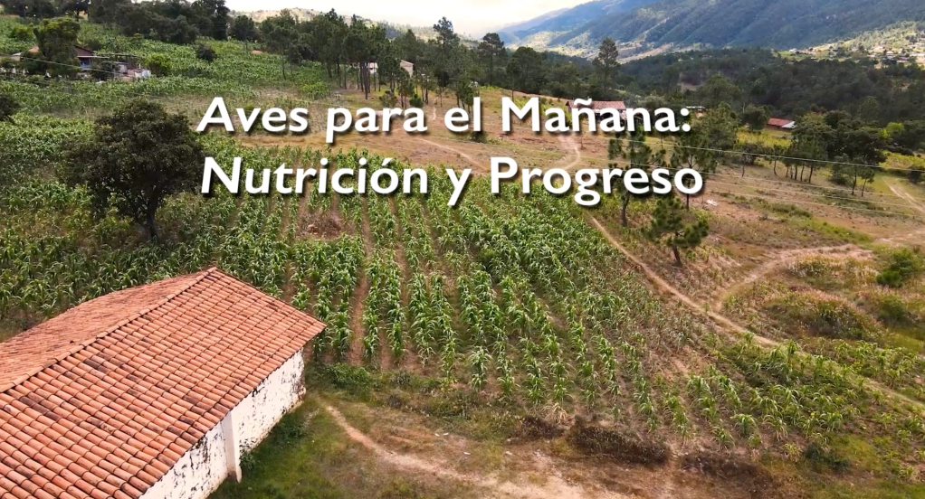 Historias de éxito: Aves para el mañana. Las historias de Filomena e Isabel